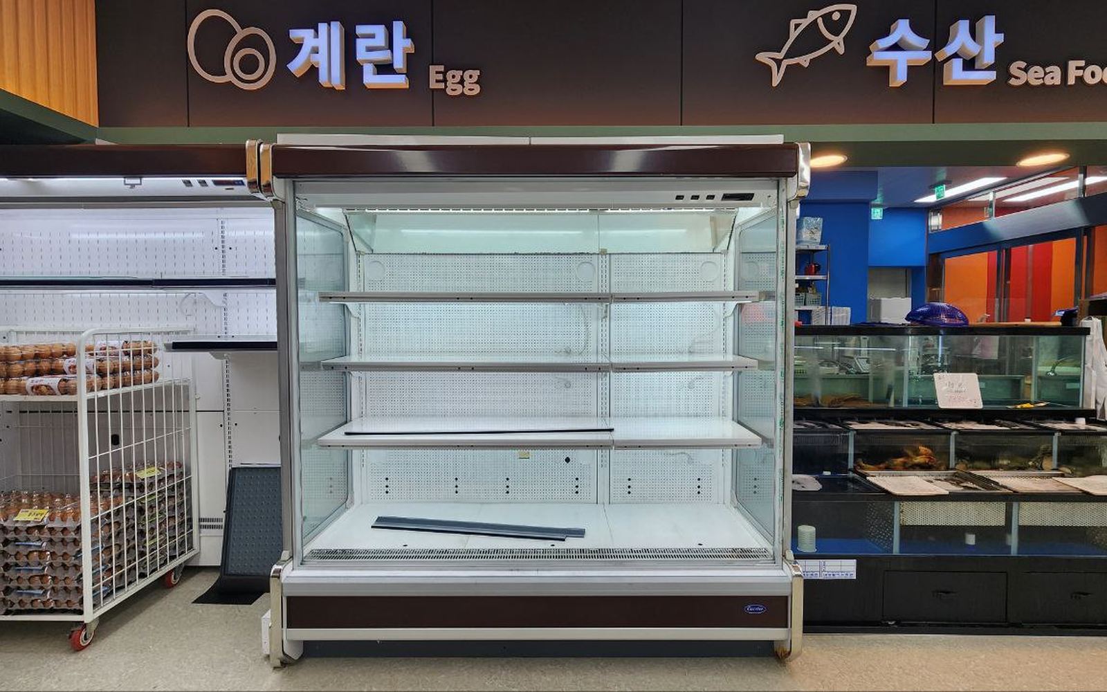 시공 전 계란 쇼케이스